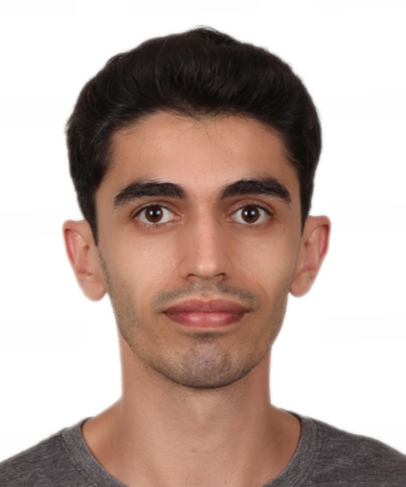 Your Profile